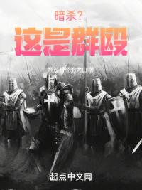 暗杀？这是群殴