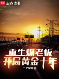 重生煤老板：开局黄金十年